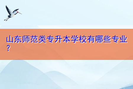 山東師范類專升本學(xué)校有哪些專業(yè)？