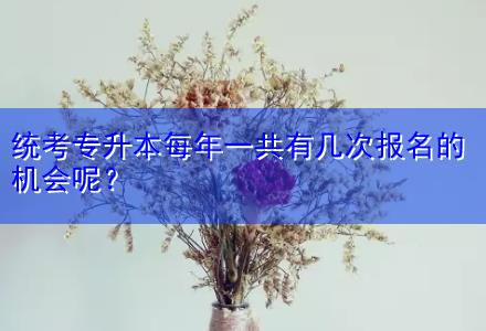 統(tǒng)考專升本每年一共有幾次報名的機(jī)會呢？