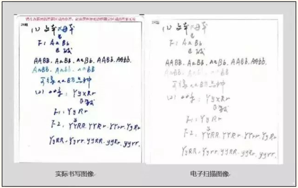 專升本考試答題中常見的錯誤及應對措施