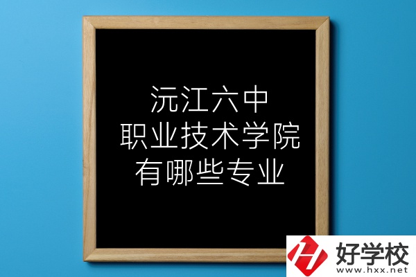 湖南沅江六中職業(yè)技術(shù)學(xué)院有哪些專(zhuān)業(yè)？