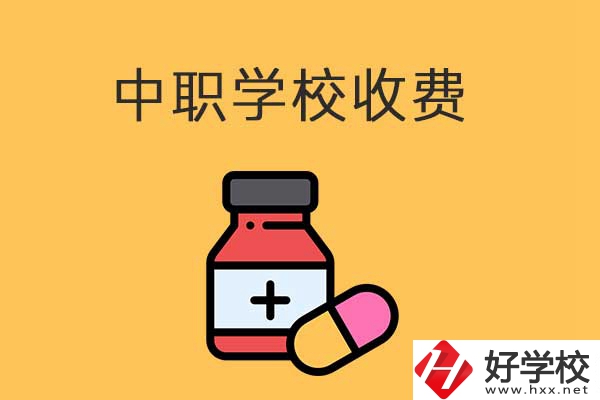 衡陽的中職學校怎么收費的？費用貴不貴？