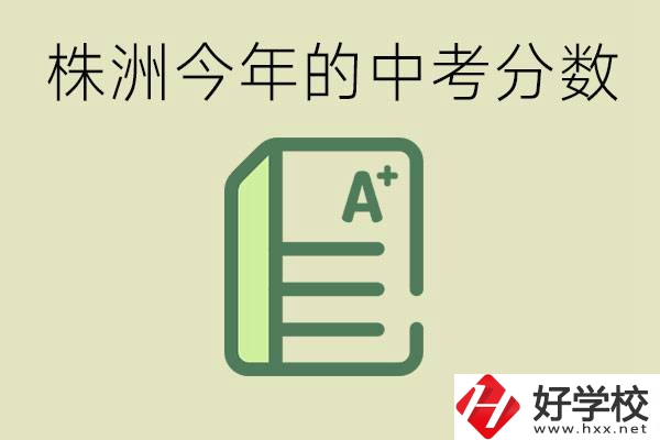 株洲今年中考多少分能上高中？沒考上有什么選擇？