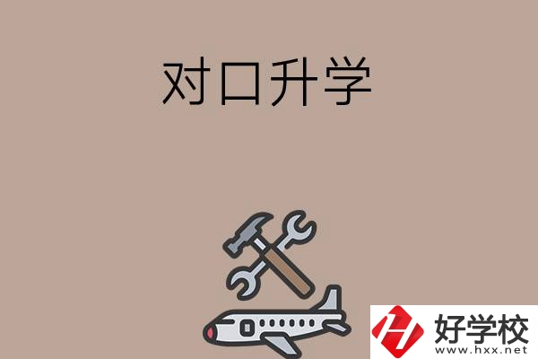 職高學(xué)生參加湖南省對口升學(xué)，有什么本科可以報(bào)考？