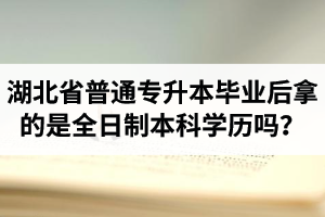 湖北省普通專(zhuān)升本畢業(yè)后拿的是全日制本科學(xué)歷嗎？