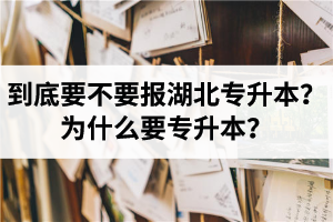 到底要不要報湖北專升本？為什么要專升本？