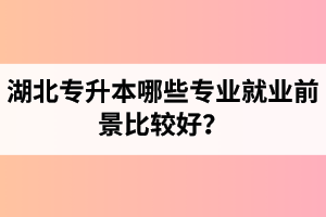 湖北專升本哪些專業(yè)就業(yè)前景比較好？