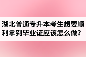 湖北普通專(zhuān)升本考生想要順利拿到畢業(yè)證應(yīng)該怎么做？