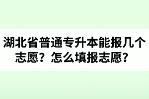 湖北省普通專升本能報(bào)幾個志愿？怎么填報(bào)志愿？