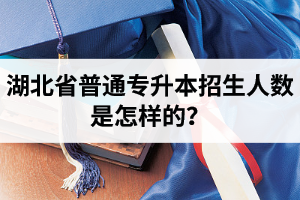 湖北省普通專升本招生人數(shù)是怎樣的？