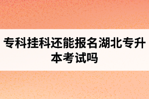 ?？茠炜七€能報(bào)名湖北專升本考試嗎？在哪里能獲取最新的專升本資訊？