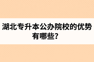 湖北專升本公辦院校的優(yōu)勢有哪些？為什么大家都想報公辦學(xué)校？