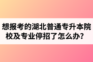 想報考的湖北普通專升本院校及專業(yè)停招了怎么辦？