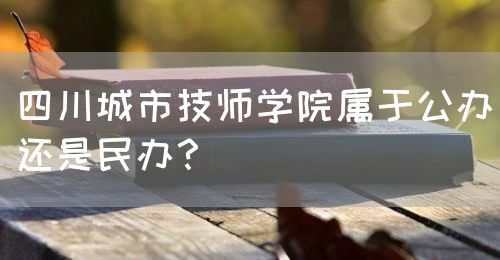 四川城市技師學院屬于公辦還是民辦？(圖1)