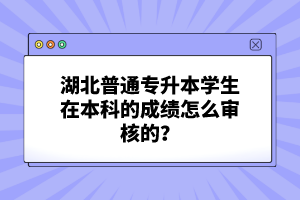 湖北普通專升本學生在本科的成績怎么審核的？