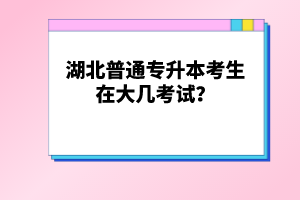 湖北普通專升本考生在大幾考試？