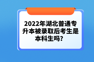 2022年湖北普通專升本被錄取后考生是本科生嗎？