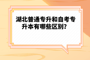 湖北普通專升和自考專升本有哪些區(qū)別？