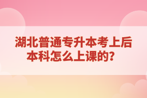 湖北普通專升本考上后本科怎么上課的？