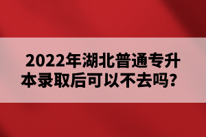 2022年湖北普通專升本錄取后可以不去嗎？