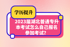 2023屆湖北普通專升本考試怎么自己報名參加考試？