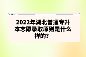 2022年湖北普通專升本志愿錄取原則是什么樣的？