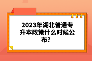 2023年湖北普通專升本政策什么時候公布？