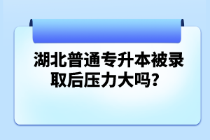 湖北普通專升本被錄取后壓力大嗎？