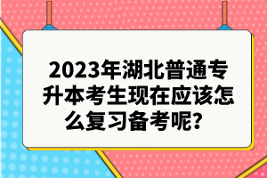 2023年湖北普通專(zhuān)升本考生現(xiàn)在應(yīng)該怎么復(fù)習(xí)備考呢？