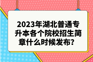 2023年湖北普通專(zhuān)升本各個(gè)院校招生簡(jiǎn)章什么時(shí)候發(fā)布？