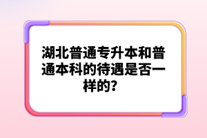 湖北普通專(zhuān)升本和普通本科的待遇是否一樣的？