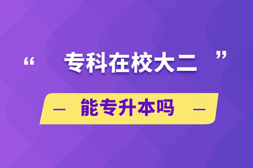 專(zhuān)科在校大二能專(zhuān)升本嗎