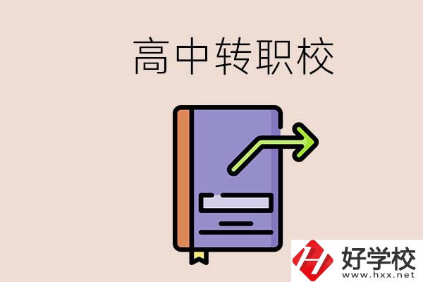 有在讀高中不想讀轉(zhuǎn)職校的例子嗎？能轉(zhuǎn)到湖南職校嗎？