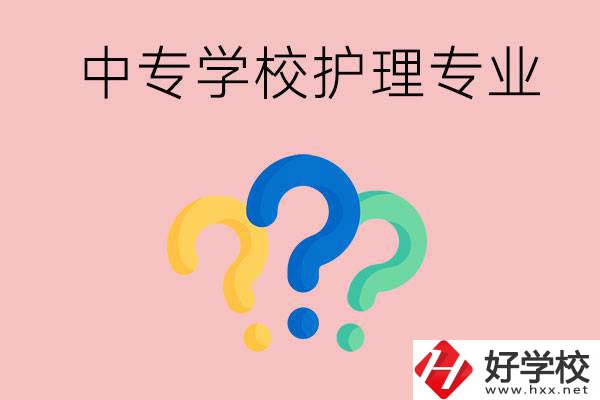 湖南的公辦中專學(xué)校哪些可以學(xué)護(hù)理專業(yè)？