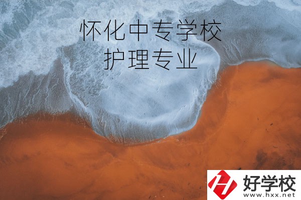 懷化有學護理專業(yè)的中專學校嗎？