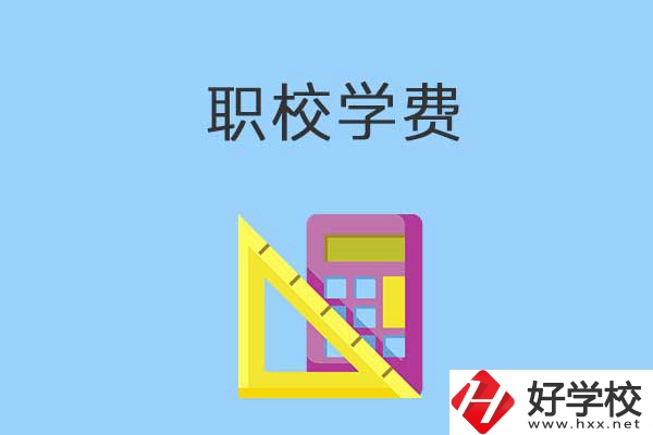 在益陽(yáng)讀職校學(xué)費(fèi)貴嗎？多少錢(qián)一年？