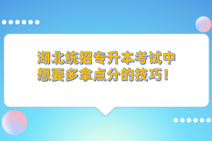 湖北統(tǒng)招專升本的學歷和本科學歷考公務員一樣嗎？