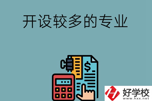 湖南的中職學(xué)校開設(shè)較多的專業(yè)是哪些？