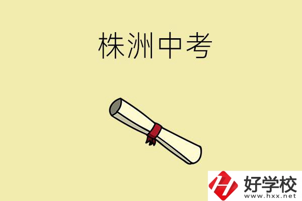 株洲中考200-300分能讀什么學校？