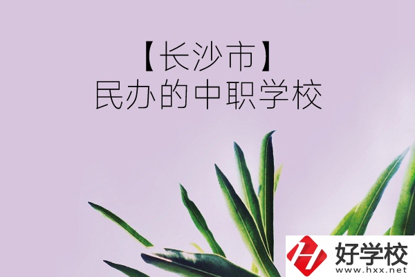 長沙市有哪些民辦的中職學(xué)校？