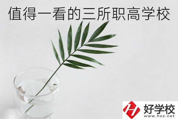 湖南有什么好的職高學(xué)校？這3所學(xué)校值得一看！