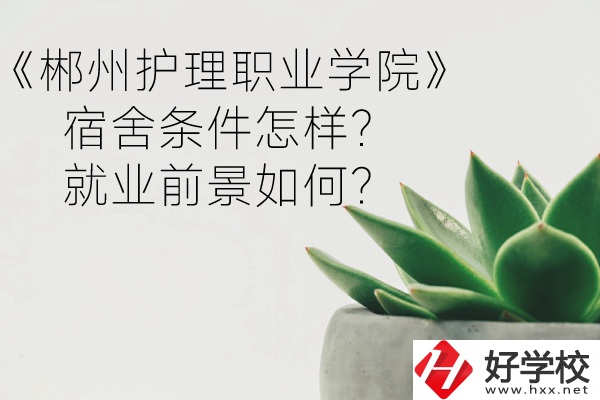 郴州護(hù)理職業(yè)學(xué)院宿舍條件怎樣？就業(yè)前景如何？