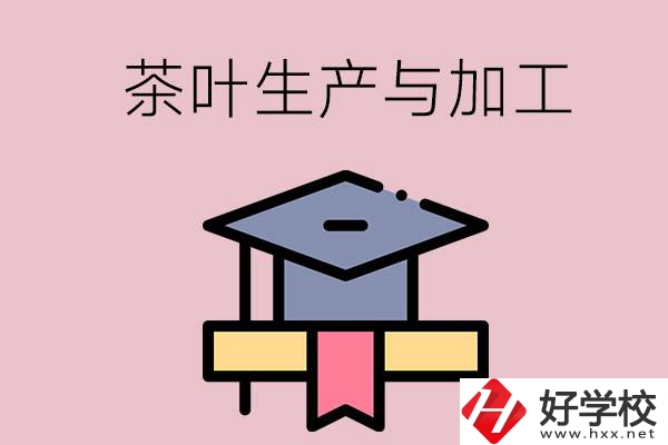 湖南哪些技校開設(shè)了茶葉生產(chǎn)與加工專業(yè)？