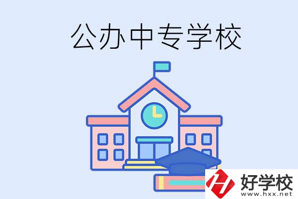 湘西一共有多少所公辦的中專學(xué)校？