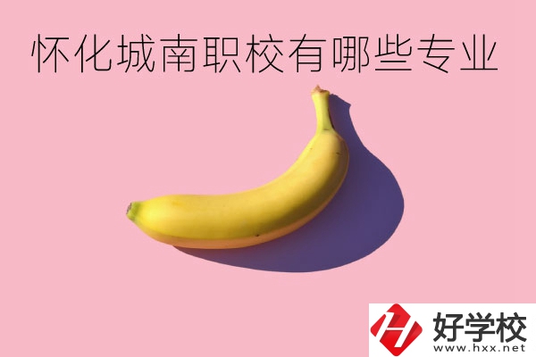 懷化城南職業(yè)學(xué)校有哪些專業(yè)？學(xué)校好不好？