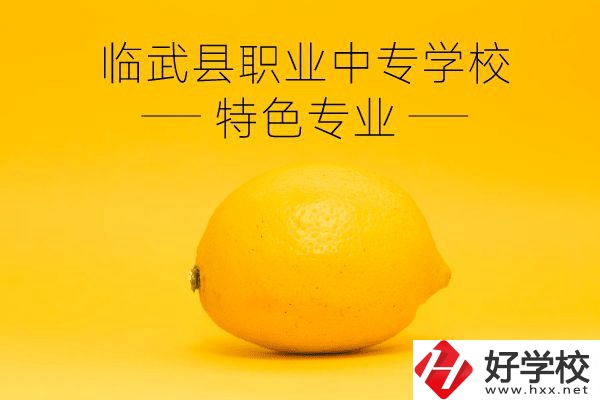 臨武縣職業(yè)中專學(xué)校好嗎？有哪些特色專業(yè)？