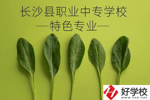 長(zhǎng)沙縣職業(yè)中專學(xué)校怎么樣？有什么特色專業(yè)？