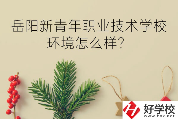 岳陽新青年職業(yè)技術學校好不好？環(huán)境怎么樣？