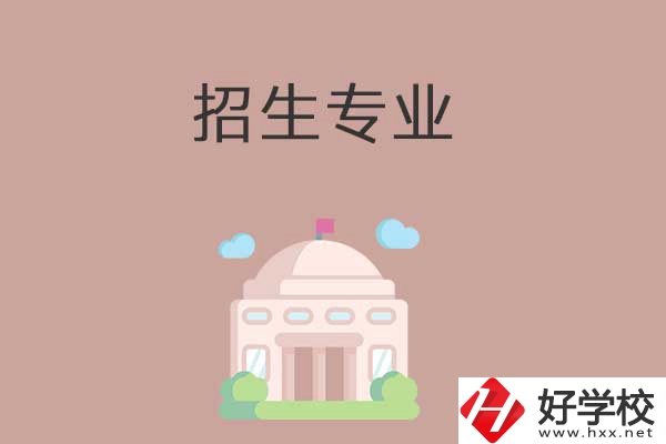 益陽有哪些高職院校設(shè)立了中職部？招生專業(yè)有哪些？