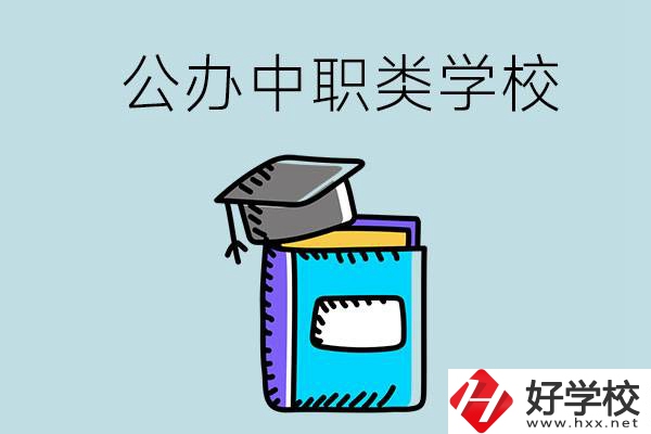 湘西的公辦中職類學(xué)校一共有多少所？