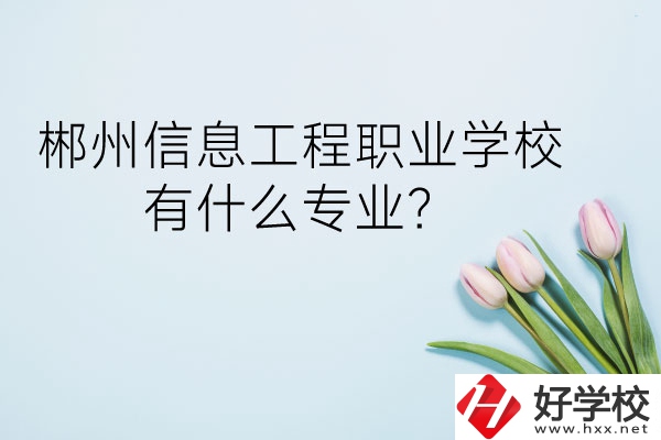 郴州信息工程職業(yè)學(xué)校有什么專業(yè)？